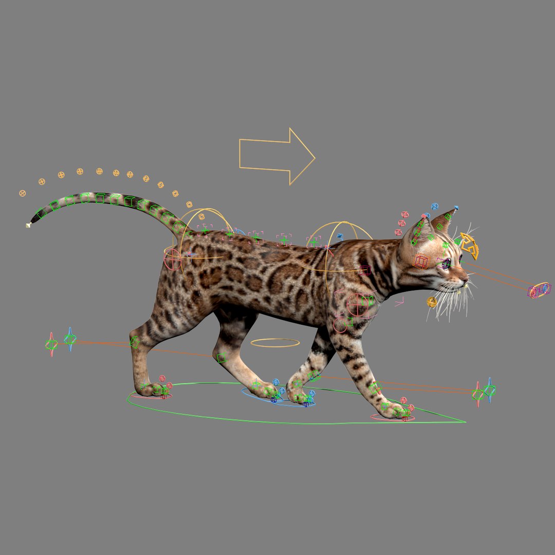 max bengal cat fur hair animation https://p.turbosquid.com/ts-thumb/aF/S7Y1Ax/07DuueEi/bengal_cat_fur_21/jpg/1452877664/1920x1080/fit_q87/e2f3ecf98fa17d4457fa8354613410a6a5606da1/bengal_cat_fur_21.jpg