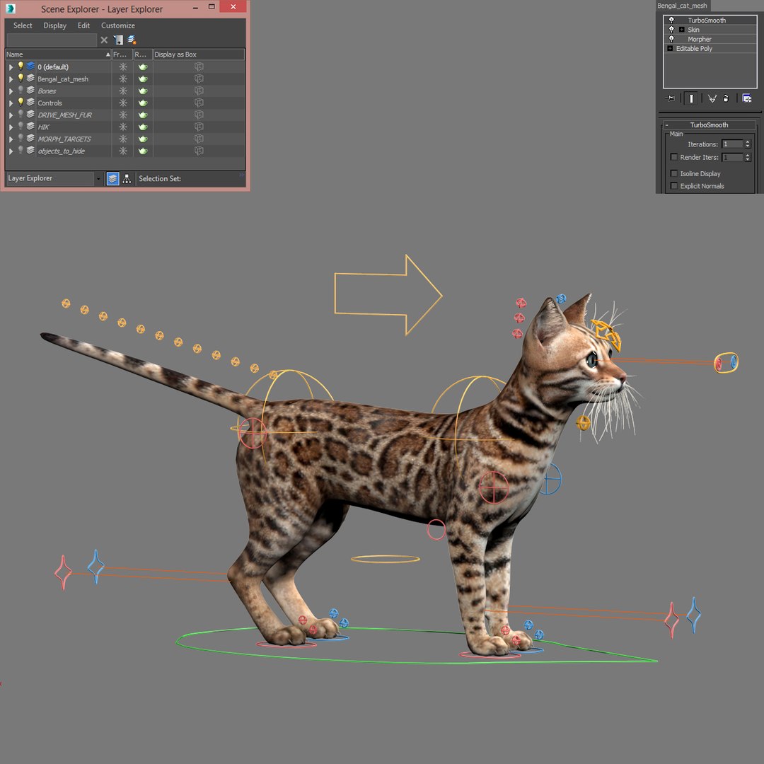max bengal cat fur hair animation https://p.turbosquid.com/ts-thumb/aF/S7Y1Ax/FBMSXcFR/bengal_cat_fur_18/jpg/1452877603/1920x1080/fit_q87/0c8ce333a2904e0c9bb62dd20c5b97fd81abffee/bengal_cat_fur_18.jpg