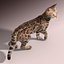 Bengal cat(FUR)(ANIMATED)