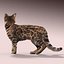 Bengal cat(FUR)(ANIMATED)