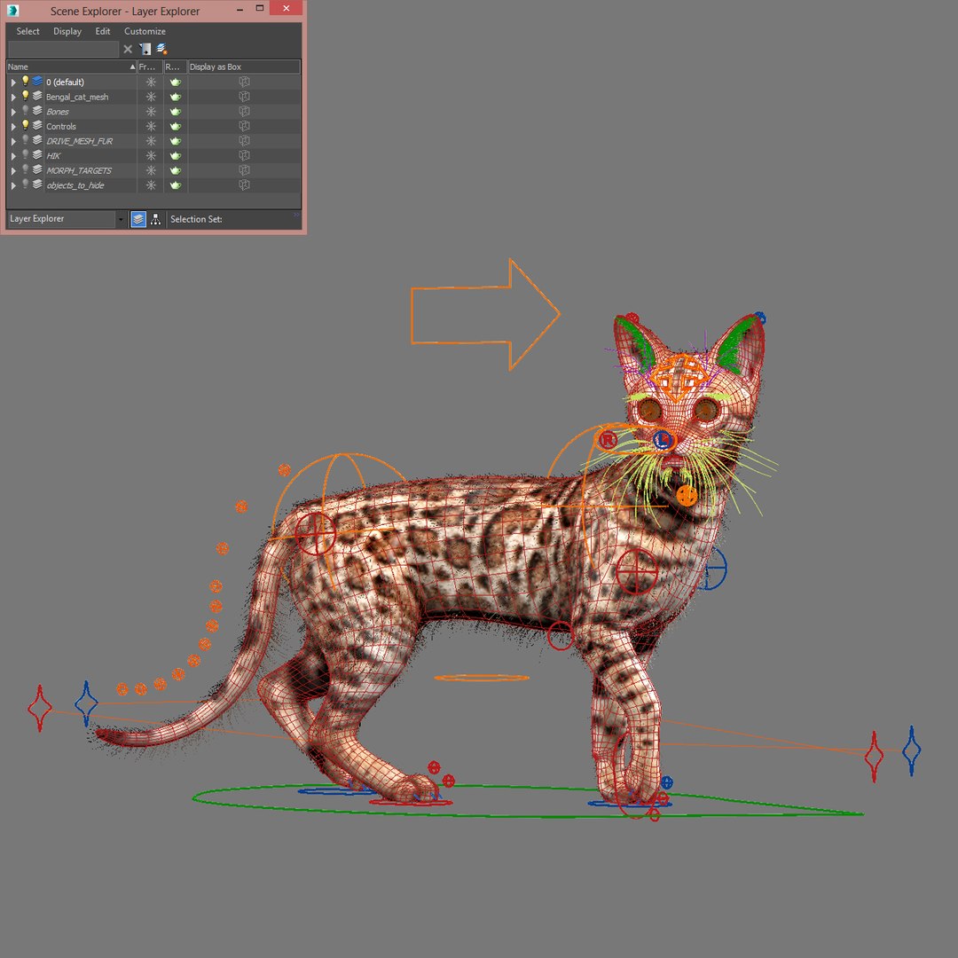max bengal cat fur hair animation https://p.turbosquid.com/ts-thumb/aF/S7Y1Ax/UzLKKcIo/bengal_cat_fur_30/jpg/1452877664/1920x1080/fit_q87/94ad3d43ce727650af9d1d1bb63cbd1b1ad84113/bengal_cat_fur_30.jpg