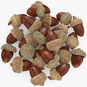 Pile Acorns