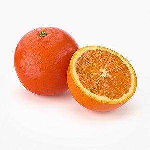 max realistic orange fruit real
