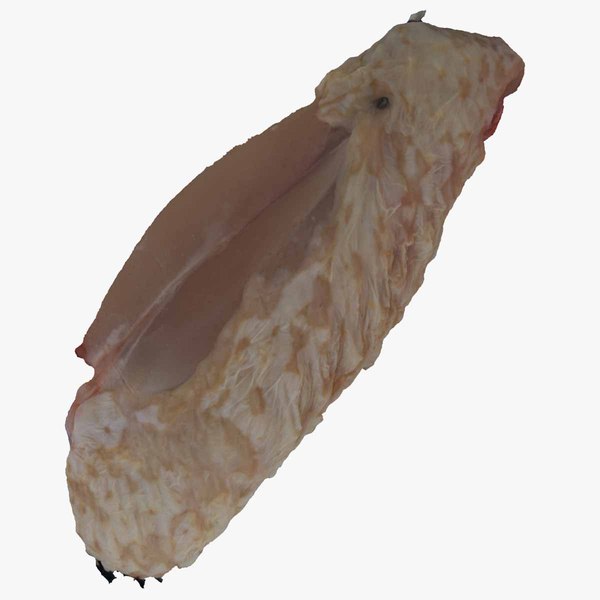 Chicken Wing 02 RAW Scan model