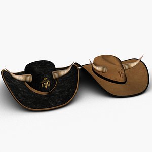 3D model Cowboy hats