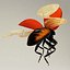 Coccinella septempuctata (Ladybug)