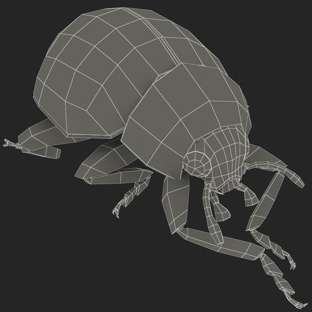 3d coccinella septempuctata ladybug model https://p.turbosquid.com/ts-thumb/aF/oDsiE2/JtToeysK/coccinella_septempuctata_48/jpg/1307711732/1920x1080/fit_q87/4113617ff35ffa6d3e0f52e7b4e2bdb0952ae35b/coccinella_septempuctata_48.jpg