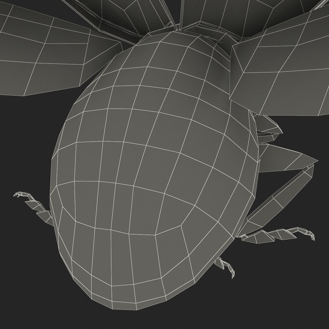 3d coccinella septempuctata ladybug model https://p.turbosquid.com/ts-thumb/aF/oDsiE2/PeGbV552/coccinella_septempuctata_46/jpg/1307711732/1920x1080/fit_q87/201b3a19aa717d83e7fcbf4cf673c5bf4f57a010/coccinella_septempuctata_46.jpg