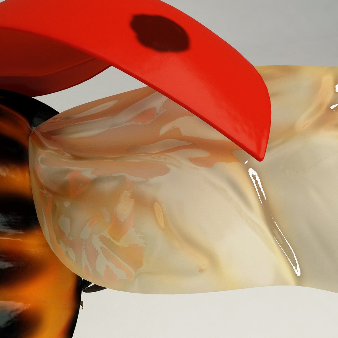 3d coccinella septempuctata ladybug model https://p.turbosquid.com/ts-thumb/aF/oDsiE2/Vlpnn4Hp/coccinella_septempuctata_14/jpg/1307711732/1920x1080/fit_q87/f3182c733e3c3a90ef32bd4c2c8c90f645cf594b/coccinella_septempuctata_14.jpg