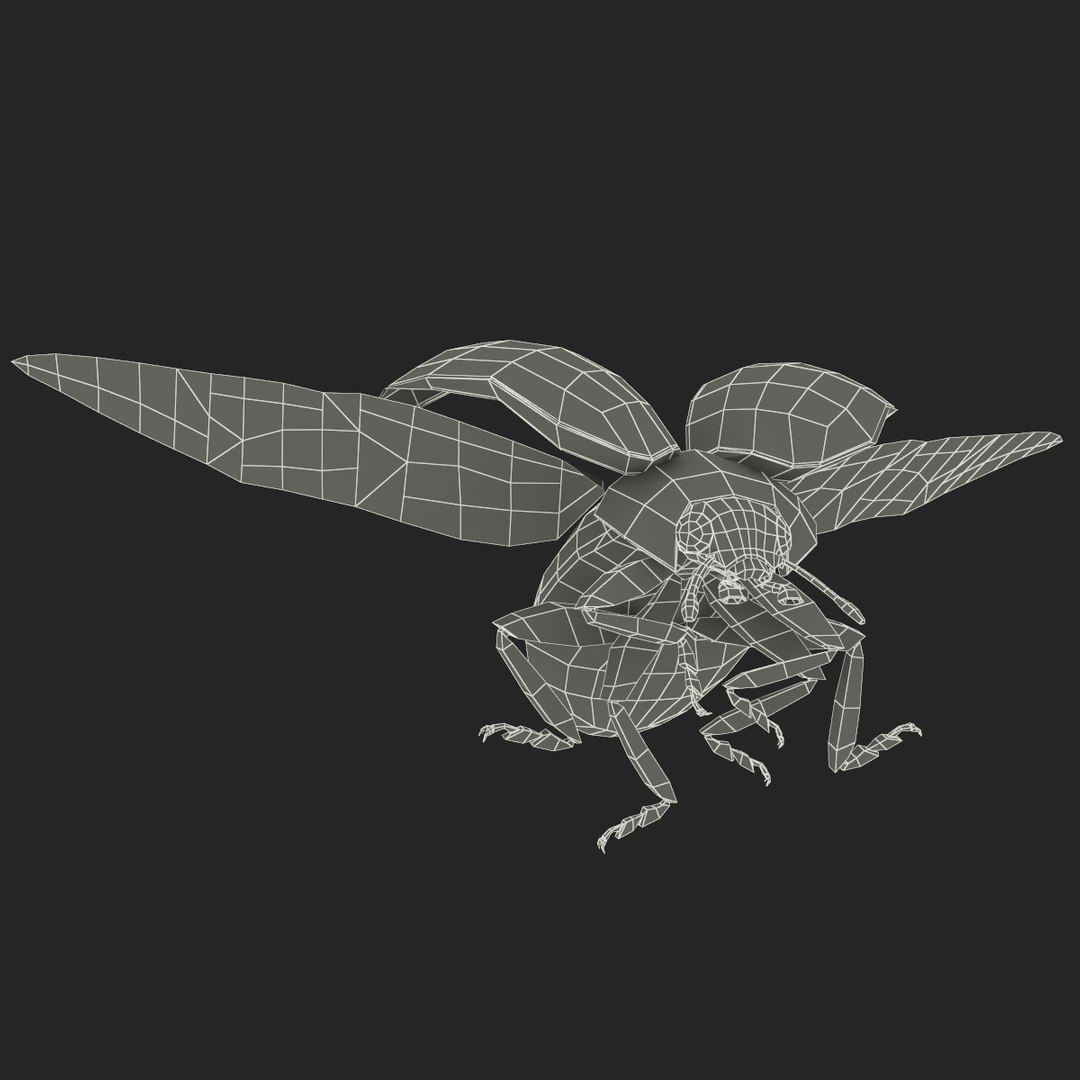3d coccinella septempuctata ladybug model https://p.turbosquid.com/ts-thumb/aF/oDsiE2/YIMtHCBl/coccinella_septempuctata_43/jpg/1307711732/1920x1080/fit_q87/aa4549e681770eaaf3d7188d7c9a1dc4d0fa0bba/coccinella_septempuctata_43.jpg