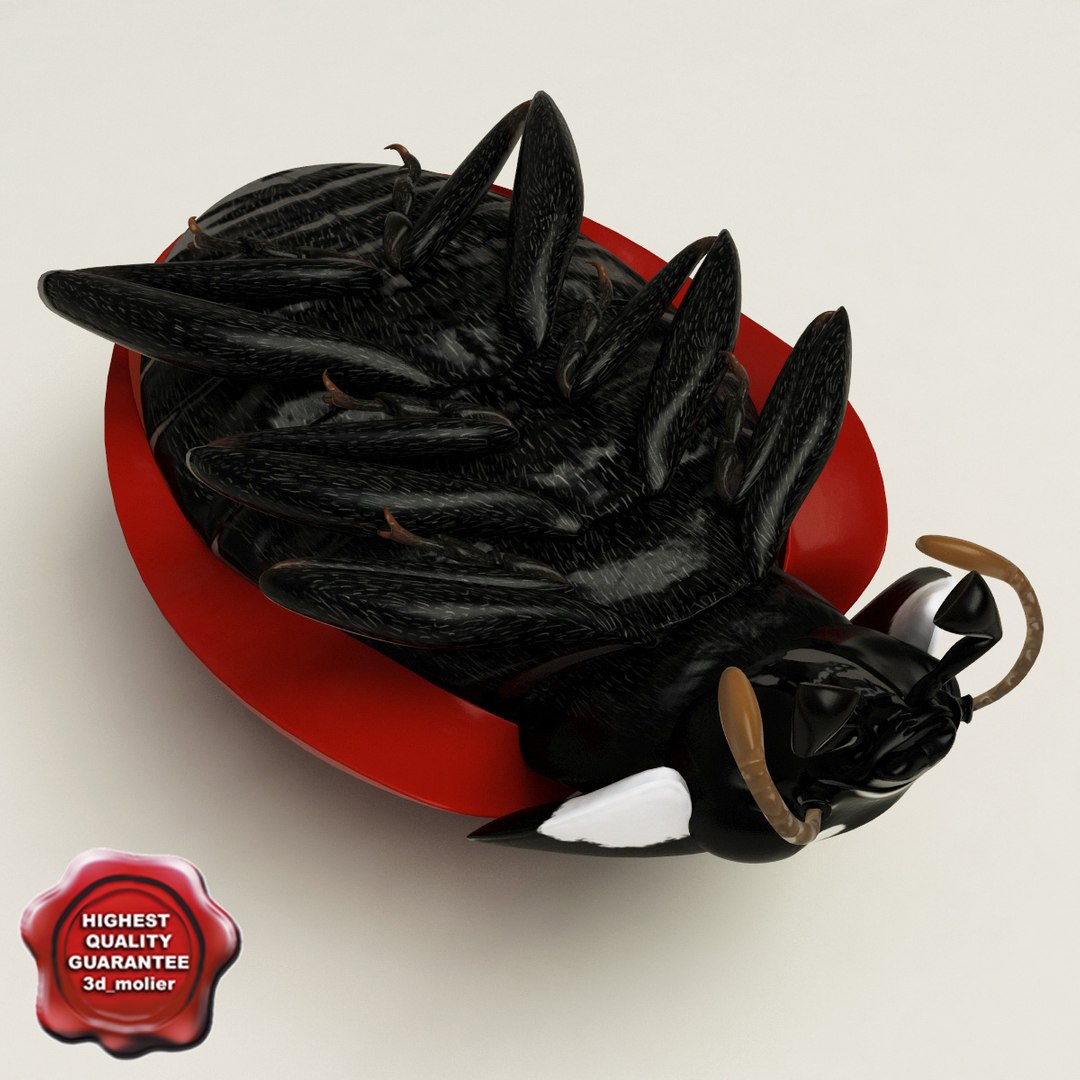 3d coccinella septempuctata ladybug model https://p.turbosquid.com/ts-thumb/aF/oDsiE2/mKCTGrQM/coccinella_septempuctata_35/jpg/1307711732/1920x1080/fit_q87/41d0106d58bdbece81548b9a5fba0be3a9eabb87/coccinella_septempuctata_35.jpg
