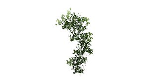 wall plant-Verticalgarden