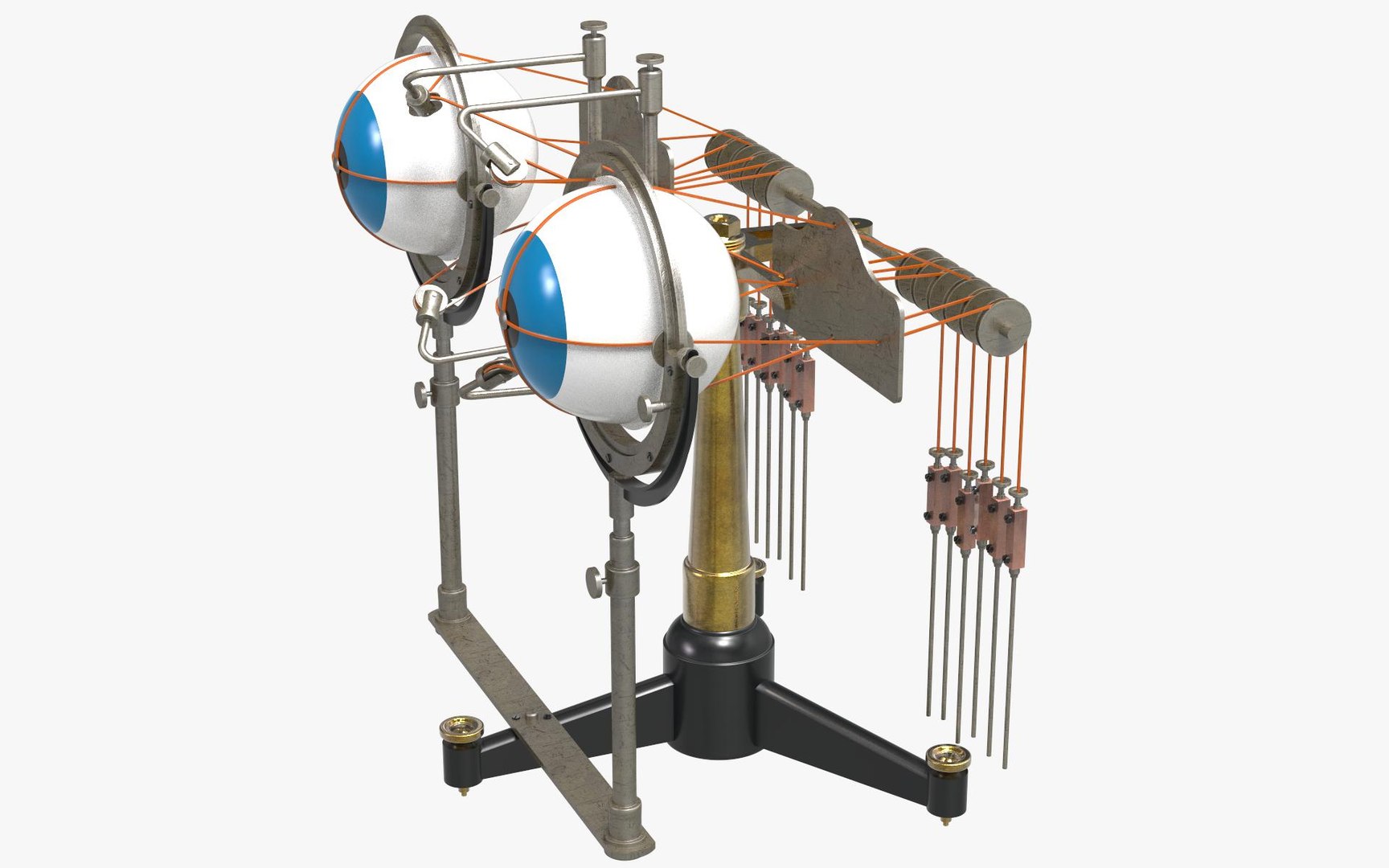 3D Eye Diagnosis and Studying Instruments https://p.turbosquid.com/ts-thumb/aF/wLtcEP/pz/ophtalmotrope_13/jpg/1650891005/1920x1080/fit_q87/776c231b433feb860f97627c2b0db02dc89cf1df/ophtalmotrope_13.jpg