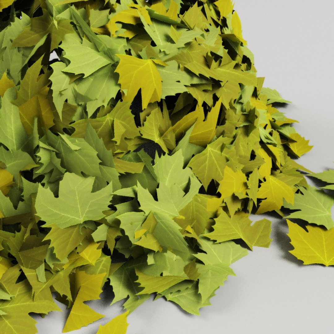 Leaves Modelled Drop 3d Model