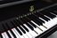 Piano de concierto Steinway &amp; Sons D-274