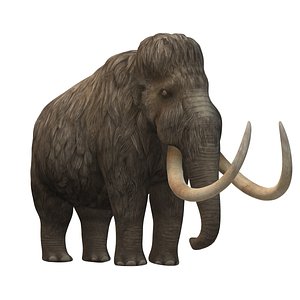 Woolly mammoth 3D model