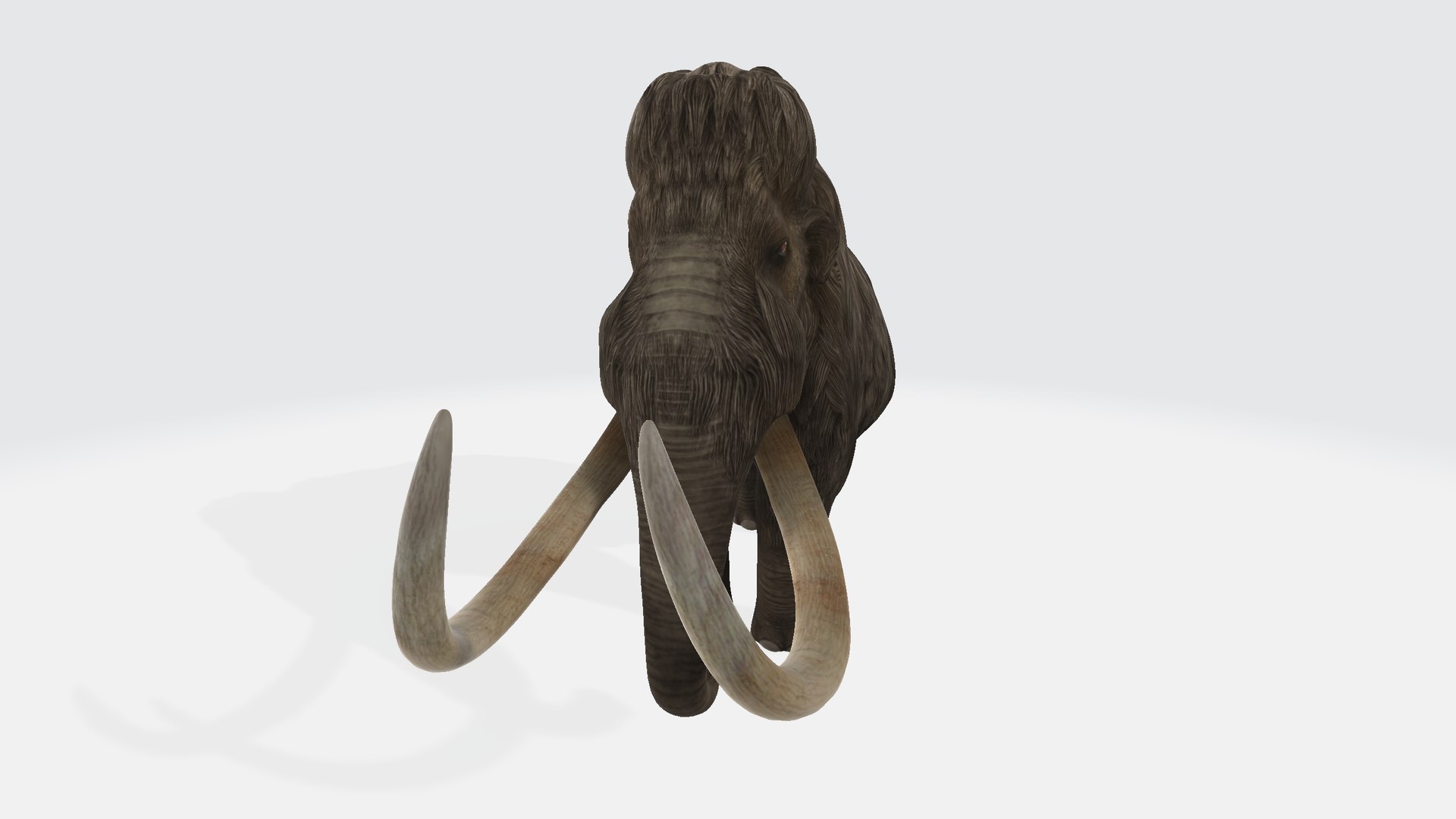 Woolly Mammoth 3D Model - TurboSquid 2346689