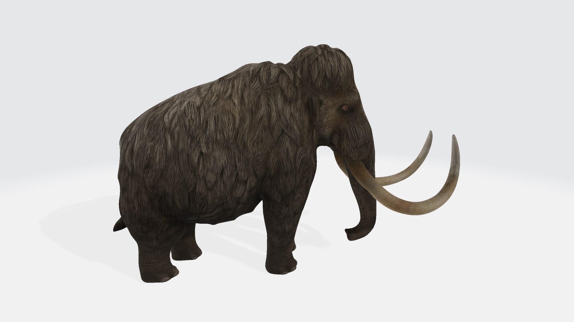 Woolly Mammoth 3D Model - TurboSquid 2346689