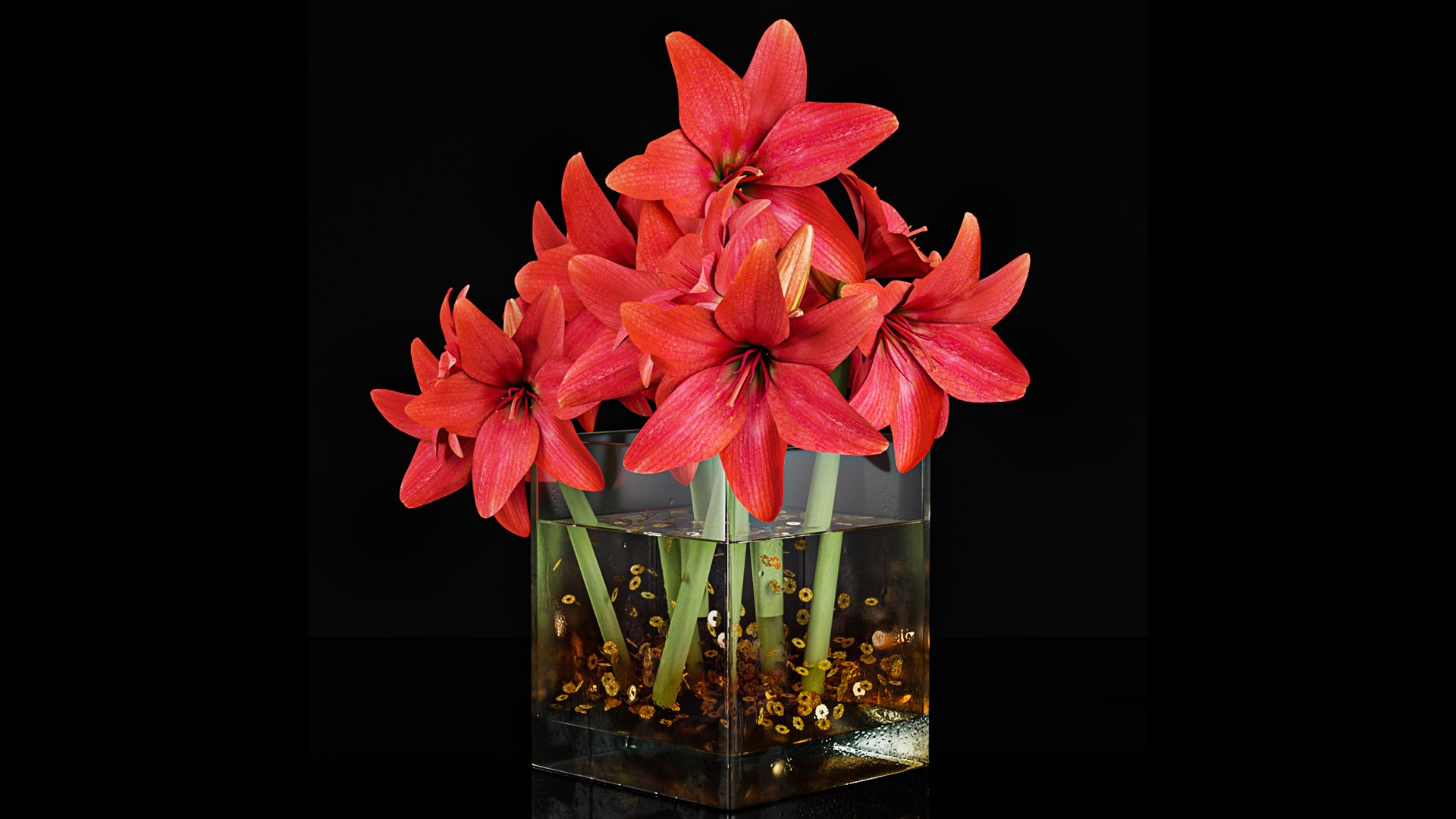 Plant collection 4 3D model https://p.turbosquid.com/ts-thumb/aG/B7JHDW/C8/pr2_34_2/png/1671004393/1920x1080/fit_q87/577875d70553576c97a060b6fdd52756897a0d1e/pr2_34_2.jpg