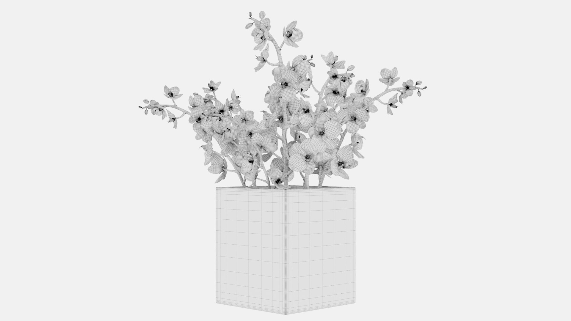 Plant collection 4 3D model https://p.turbosquid.com/ts-thumb/aG/B7JHDW/ws/prs2_37_2/png/1671199140/1920x1080/fit_q87/cc0f128e9293ac07cc2358f8e83b42a630120bcc/prs2_37_2.jpg