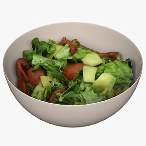 Salad 10 3D