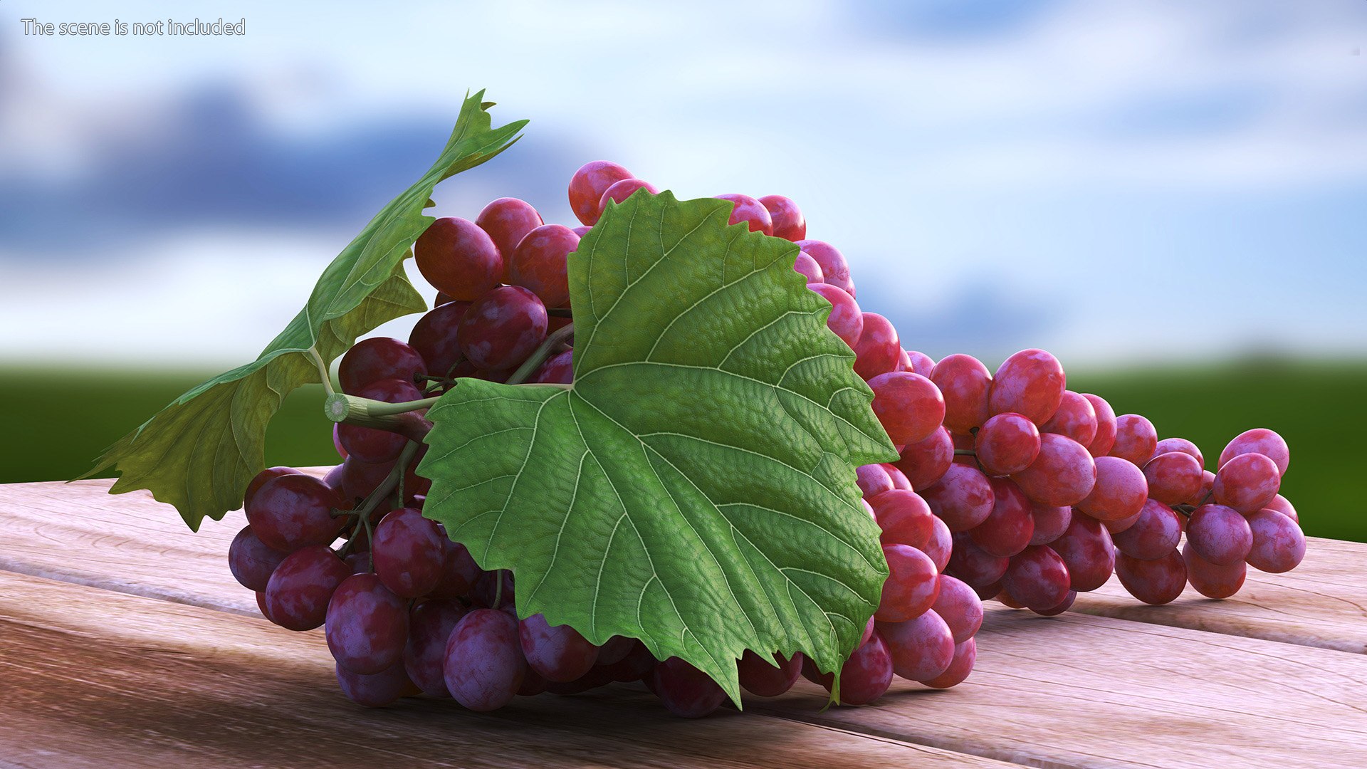 Sultana Red Grape Cluster Lying 3D - TurboSquid 2179986