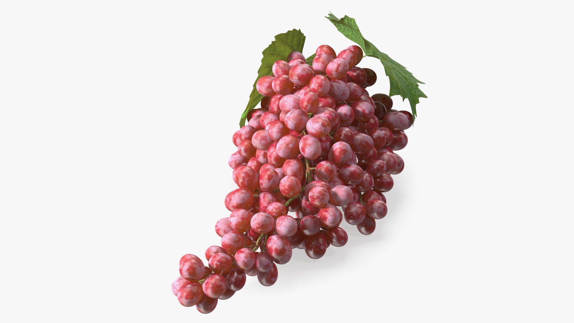 Sultana Red Grape Cluster Lying 3D model preview