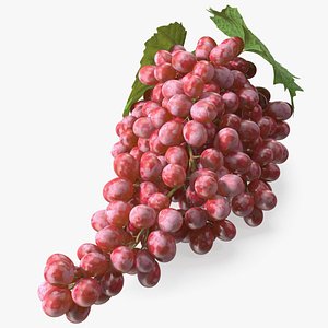 Sultana Red Grape Cluster Lying 3D