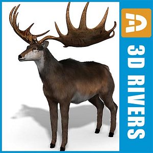 Megaloceros by 3DRivers
