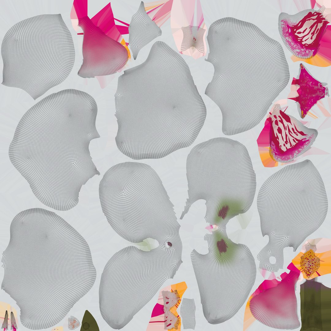 3D model Orchid Flower https://p.turbosquid.com/ts-thumb/aG/eHp5KJ/3r/uv/jpg/1785843989/1920x1080/fit_q87/1a2b0adf777408882eab90c3efb997fbf5657620/uv.jpg