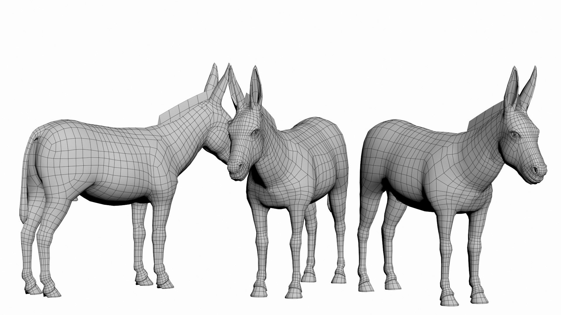 3D Donkey - TurboSquid 1763688