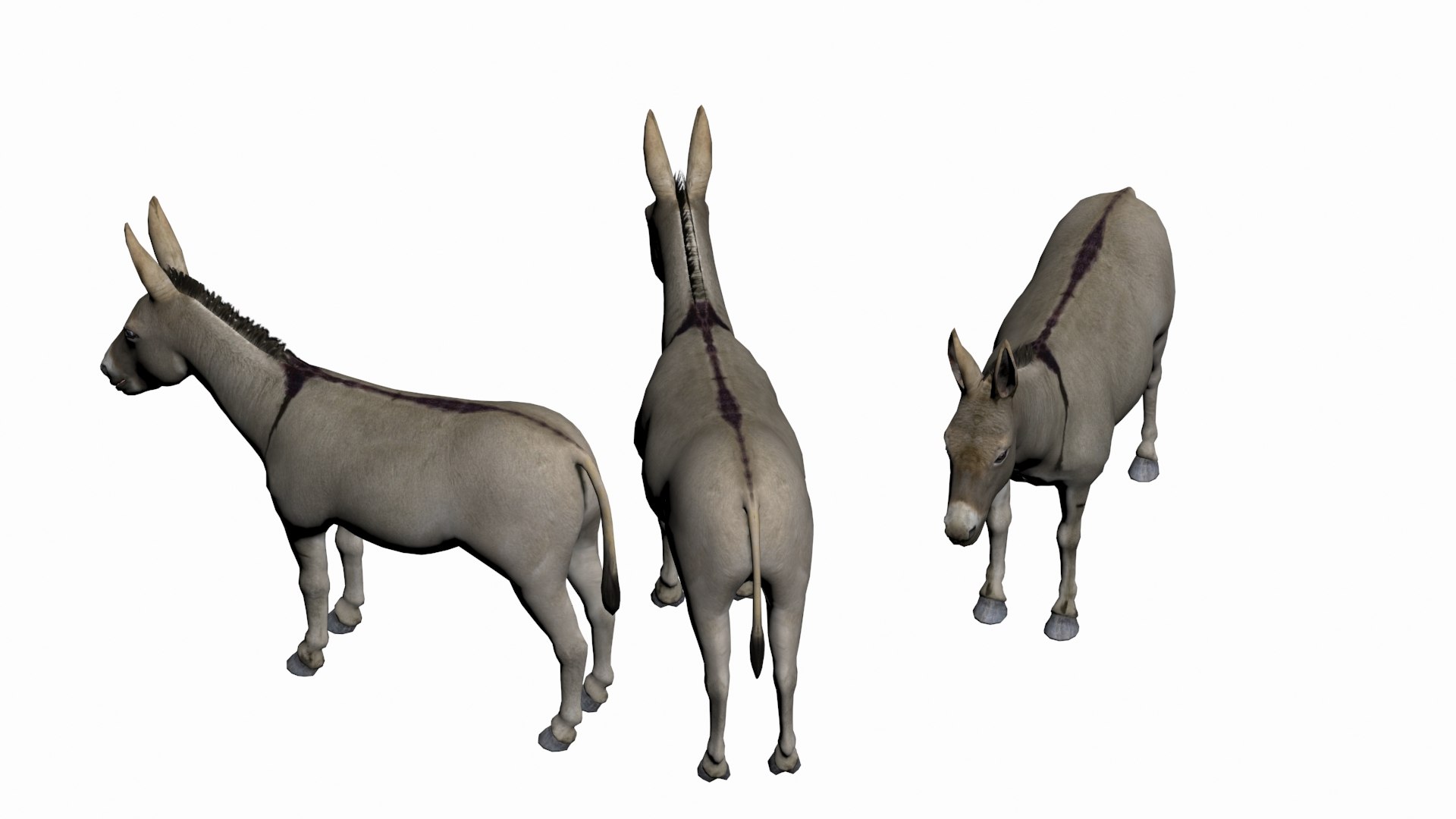 3D Donkey - TurboSquid 1763688