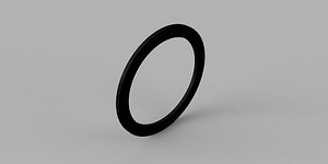 3inch Tri-Clover Gasket for Pipes