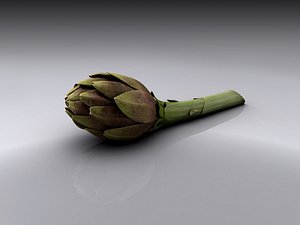 Artichoke High-Res