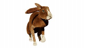 rabbit 3D model