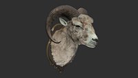 Sheep's Head and Deer's Head Bundle