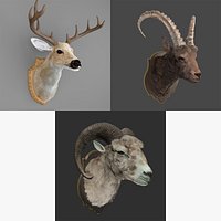Sheep's Head and Deer's Head Bundle