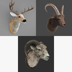 Sheep's Head and Deer's Head Bundle