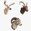 Sheep's Head and Deer's Head Bundle