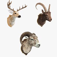 Sheep's Head and Deer's Head Bundle
