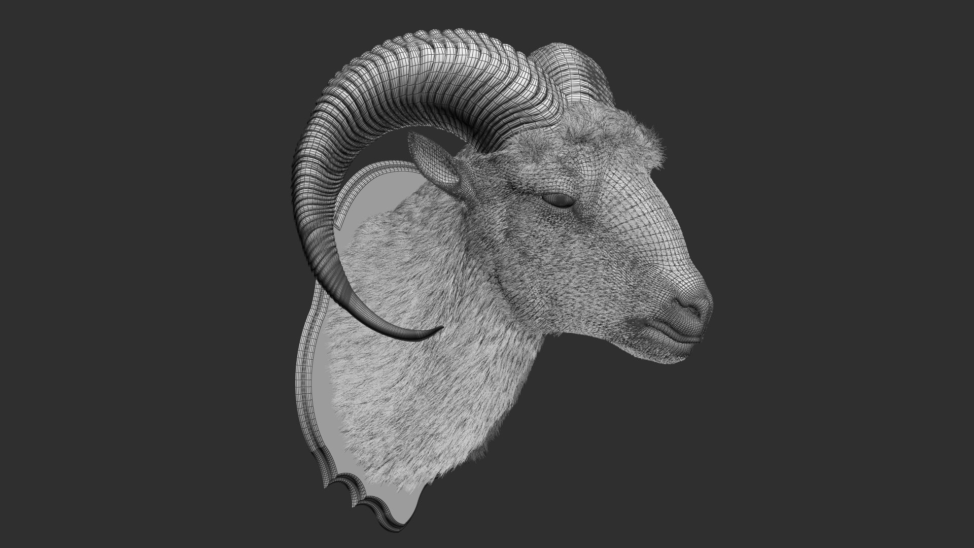 3D model Sheep's Head and Deer's Head Bundle https://p.turbosquid.com/ts-thumb/aG/xMu7CX/hW/wl22/jpg/1791443654/1920x1080/fit_q87/c8ea37fb69a5c8ae4448b1cba2c5f4e9700d36e8/wl22.jpg
