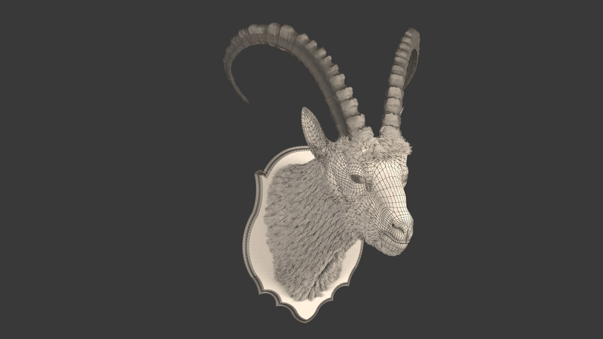 3D model Sheep's Head and Deer's Head Bundle https://p.turbosquid.com/ts-thumb/aG/xMu7CX/mA/wl11/jpg/1791443637/1920x1080/fit_q87/85fe3263e03089464e9a4cf2821dd29624a84f20/wl11.jpg