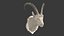 Sheep's Head and Deer's Head Bundle
