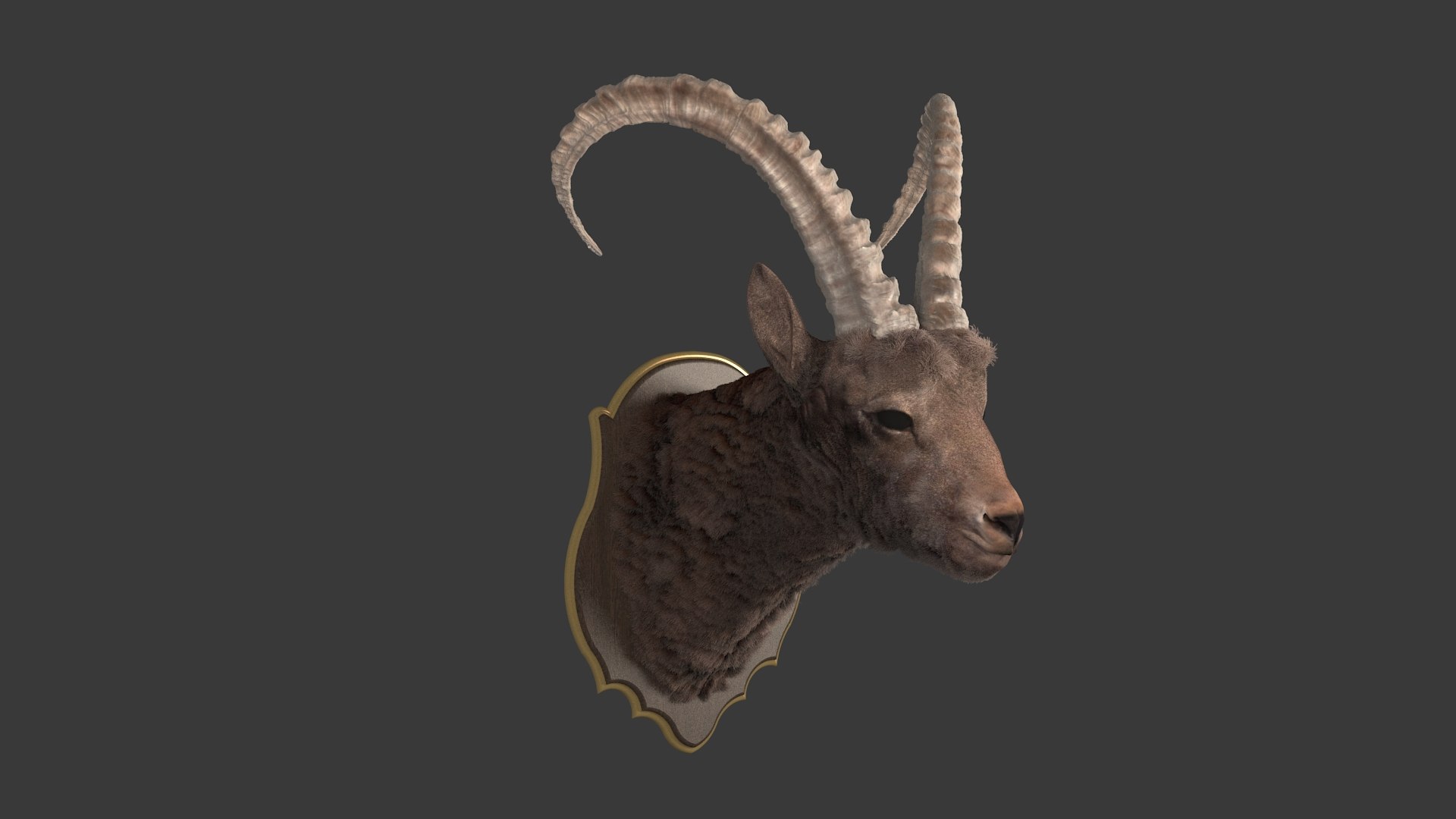 3D model Sheep's Head and Deer's Head Bundle https://p.turbosquid.com/ts-thumb/aG/xMu7CX/rg/11/jpg/1791443625/1920x1080/fit_q87/352bad6f72ebe4d3bbb7135b4580272a3dc46c28/11.jpg