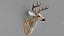 Sheep's Head and Deer's Head Bundle