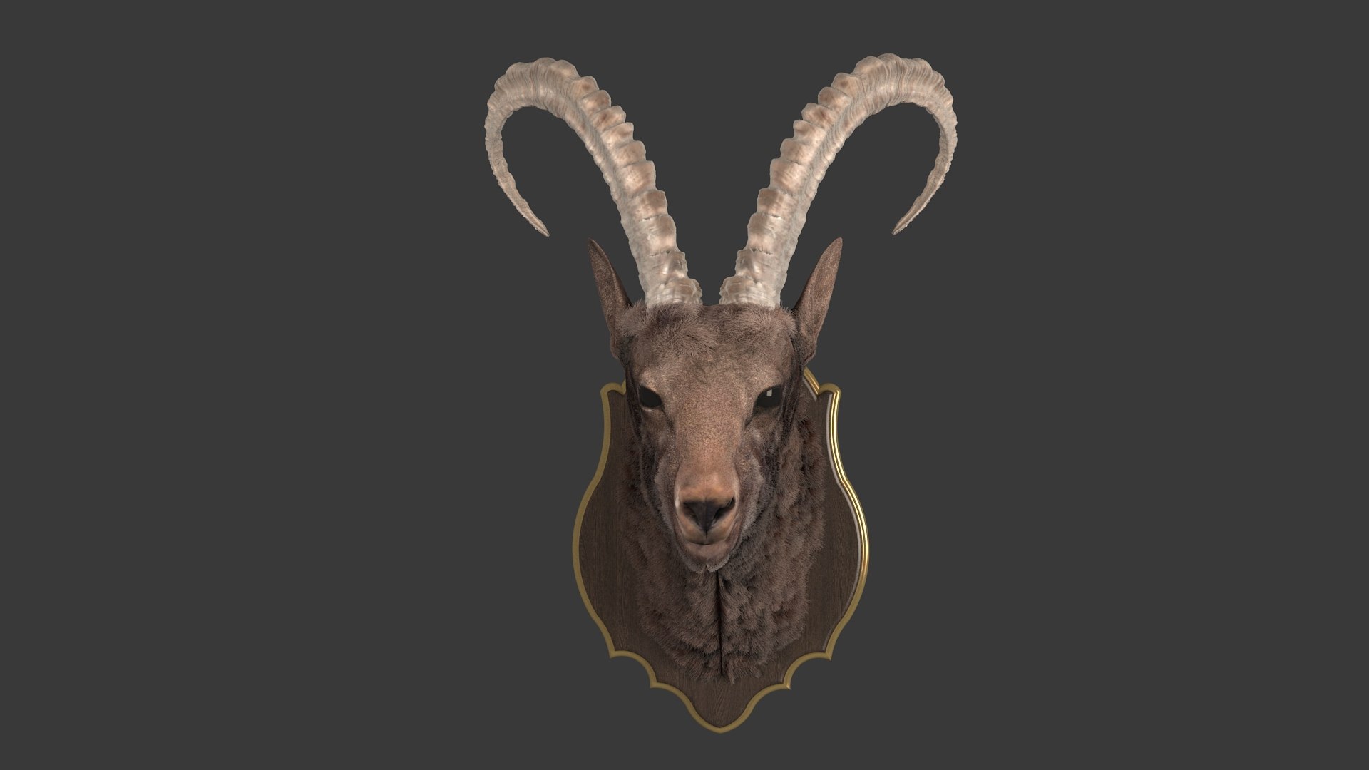 3D model Sheep's Head and Deer's Head Bundle https://p.turbosquid.com/ts-thumb/aG/xMu7CX/x7/34/jpg/1791443727/1920x1080/fit_q87/c47bfd51499df6f7bd9f595abf487556bc44613d/34.jpg