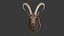 Sheep's Head and Deer's Head Bundle