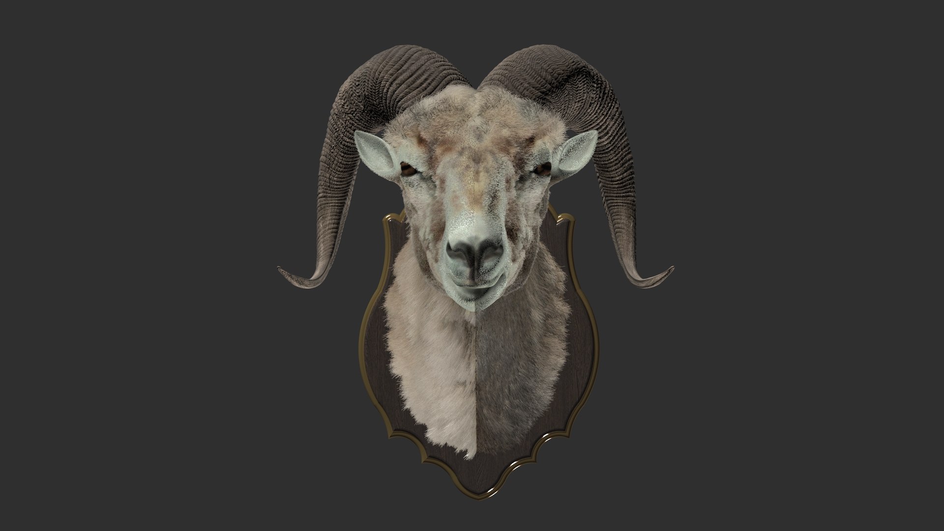 3D model Sheep's Head and Deer's Head Bundle https://p.turbosquid.com/ts-thumb/aG/xMu7CX/xT/33/jpg/1791443710/1920x1080/fit_q87/12ba654bae96d0a4eed2bec14b5a5f26a649d68e/33.jpg