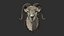 Sheep's Head and Deer's Head Bundle