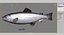 salmon fish animation 3d max